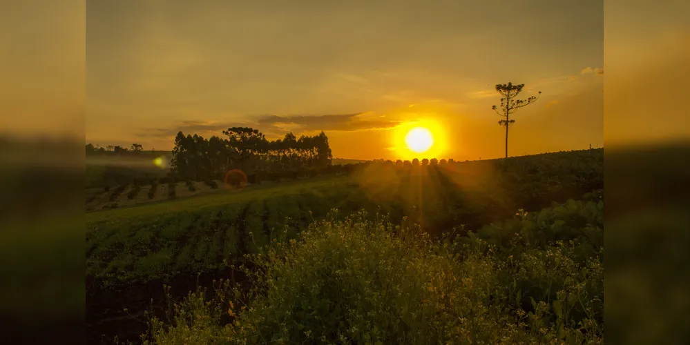 Sol irá predominar em boa parte do Paraná