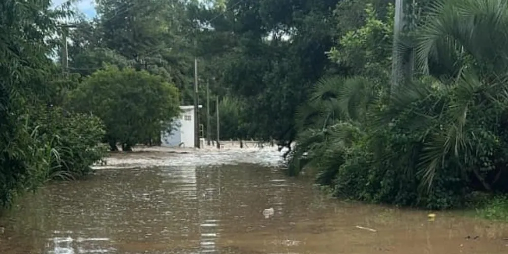 Chuvas provocam alagamentos na região de Tibagi