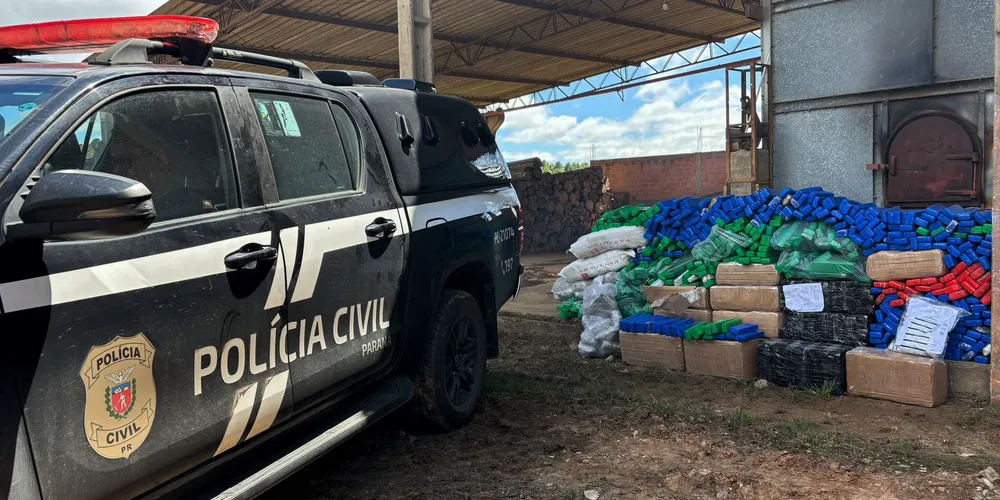 As drogas são oriundas de apreensões realizadas no ano de 2024 pelas Forças de Segurança Pública locais