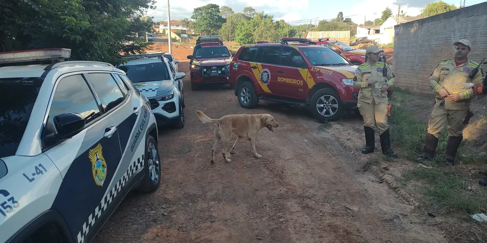 gora, as equipes possuem o reforço da equipe e do cão 'Balu' dos Bombeiros de Telêmaco Borba