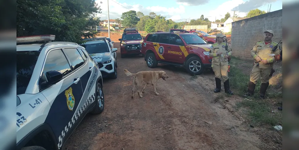 gora, as equipes possuem o reforço da equipe e do cão 'Balu' dos Bombeiros de Telêmaco Borba