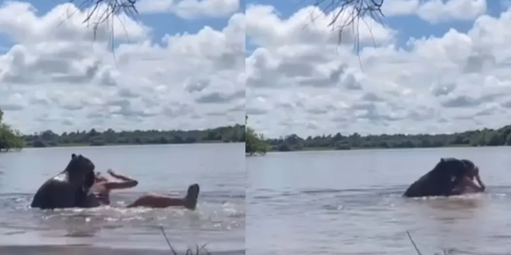 Um adulto surge para ajudar a menina a sair da água, colocando fim ao ataque