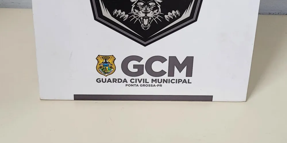 Os produtos roubados foram recuperados