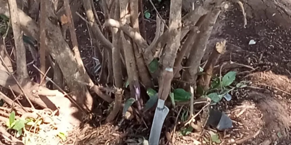 As facas foram entregues a equipe de segurança terceirizada que acompanhava o trabalho