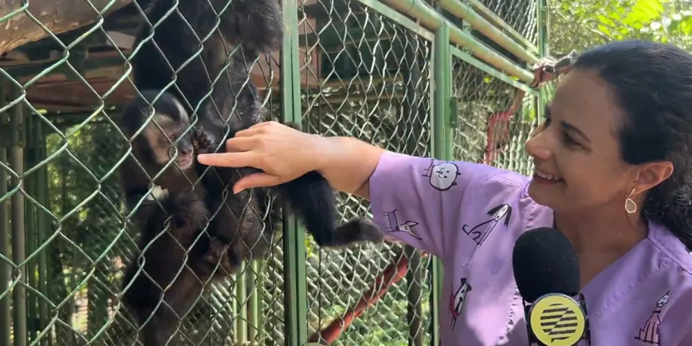 O espaço SpaMedVet, coordenado pela Dr.ᵃ Erika, abriga diversos animais resgatados