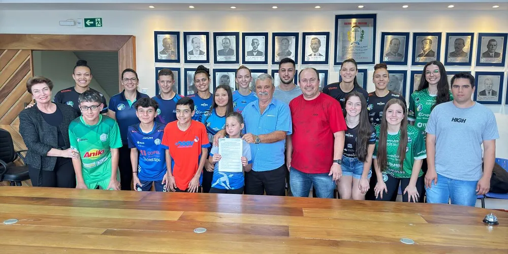 Em 2025, o Bolsa Atleta oferece 25 bolsas, distribuídas entre diferentes categorias