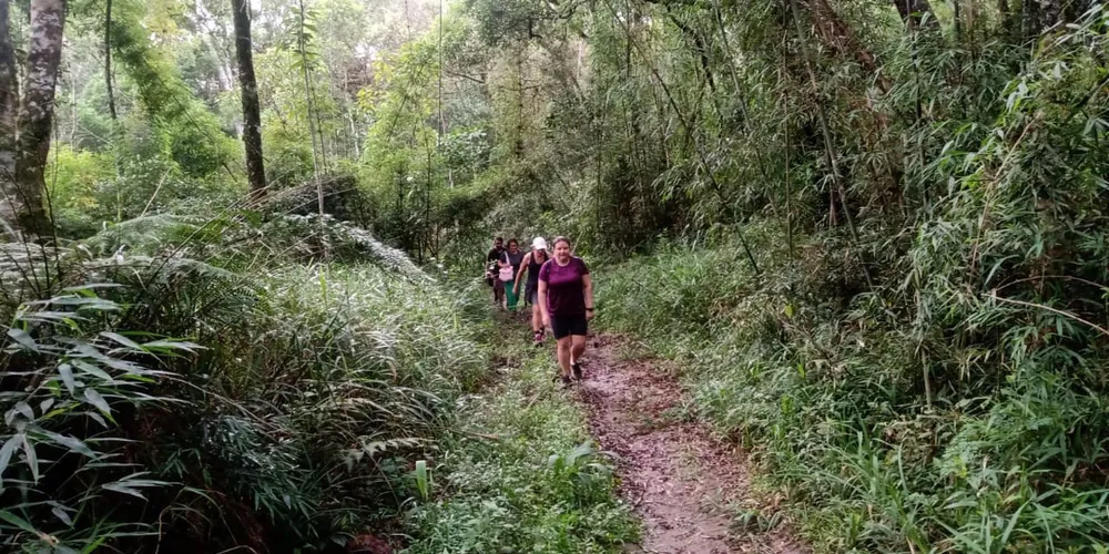 Caminhadas na Natureza levaram mais de 48 mil pessoas a praticar o turismo rural em 2024