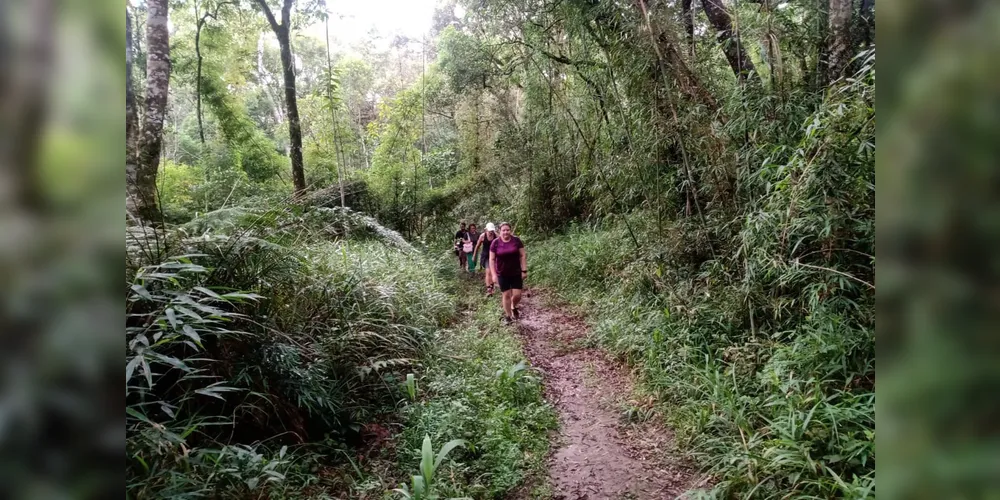 Caminhadas na Natureza levaram mais de 48 mil pessoas a praticar o turismo rural em 2024