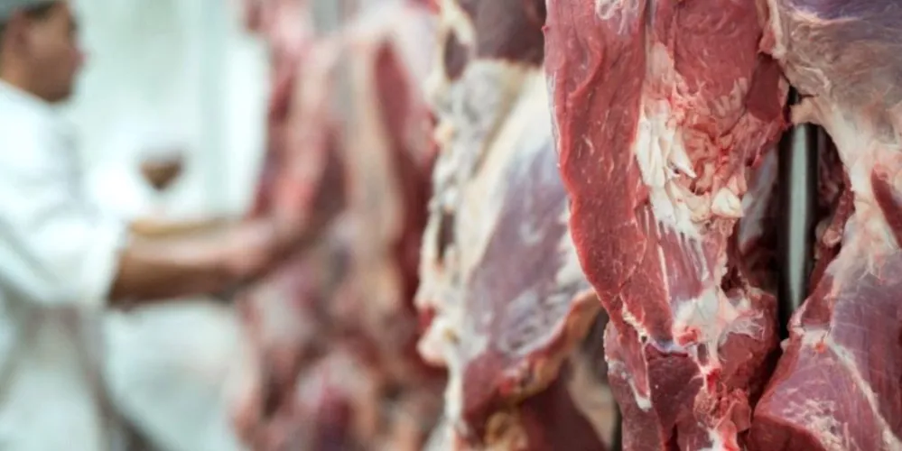 Entre as vagas sem experiência exigida está ajudante de açougueiro