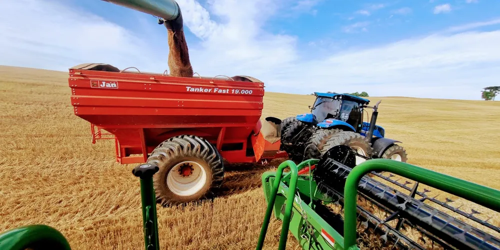 A região se destaca na geração de riquezas tanto na agricultura quanto na pecuária e na silvicultura