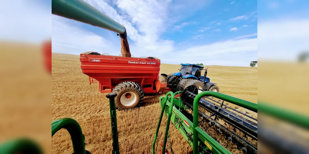 A região se destaca na geração de riquezas tanto na agricultura quanto na pecuária e na silvicultura