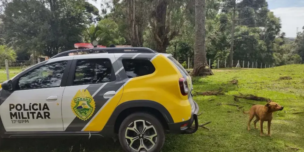 O corpo foi levado ao Instituto Médico Legal (IML)