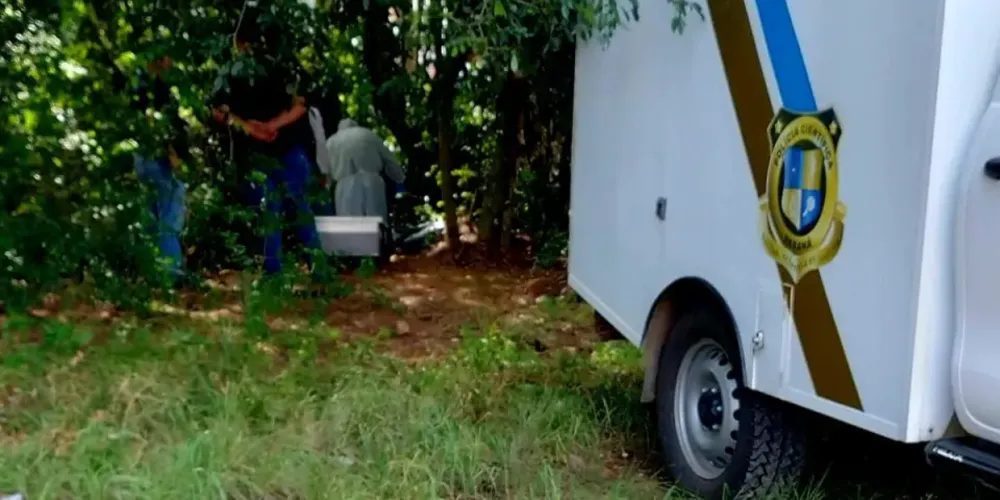 O caso aconteceu na cidade de São José dos Pinhais