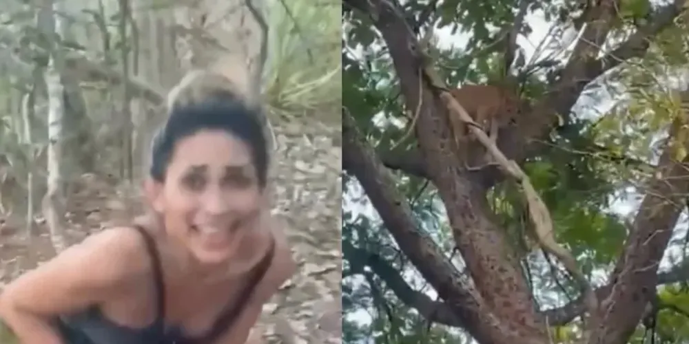 Na filmagem, uma mulher empunhando uma espécie de espingarda atira em uma onça-parda