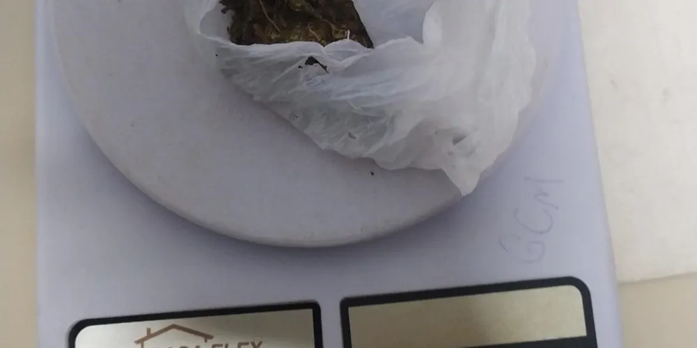Foram apreendidos 11 gramas de substância análoga à maconha