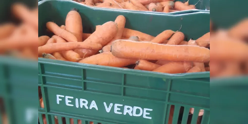 Equipes do Feira Verde estarão trocando recicláveis por frutas, verduras e legumes