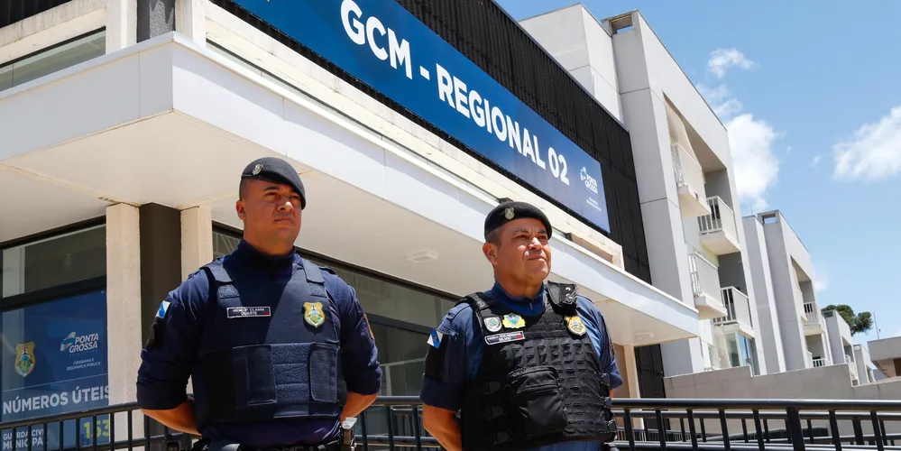 Levantamento traz informações dos boletins de ocorrência registrados pela GCM até o dia 20 de dezembro deste ano