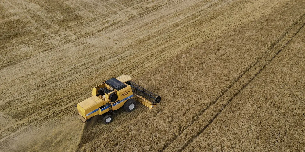 A colheita da cevada ainda está no início, apenas 12% da área e deve se estender até novembro