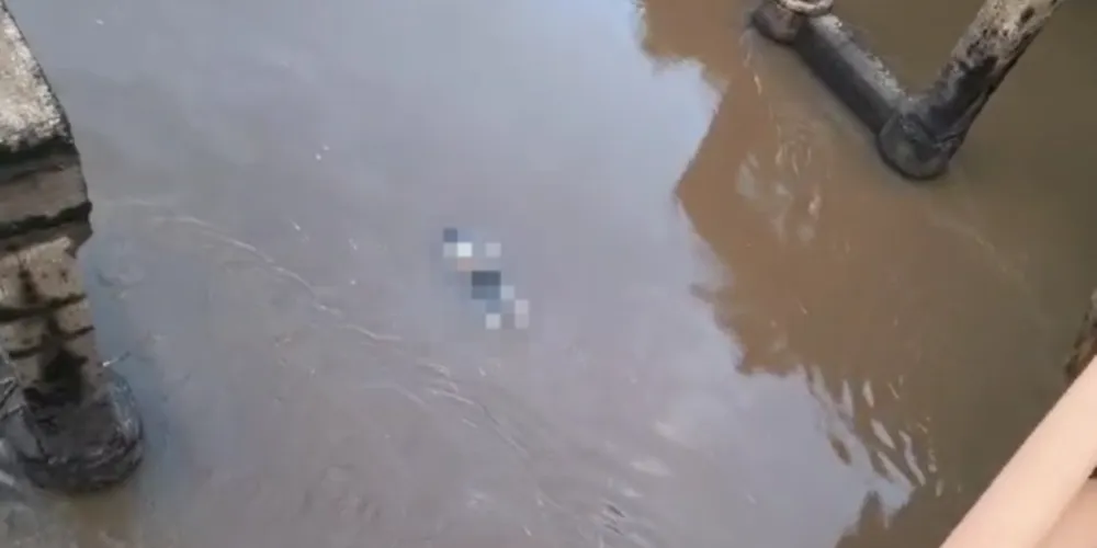 O caso aconteceu neste domingo (19)