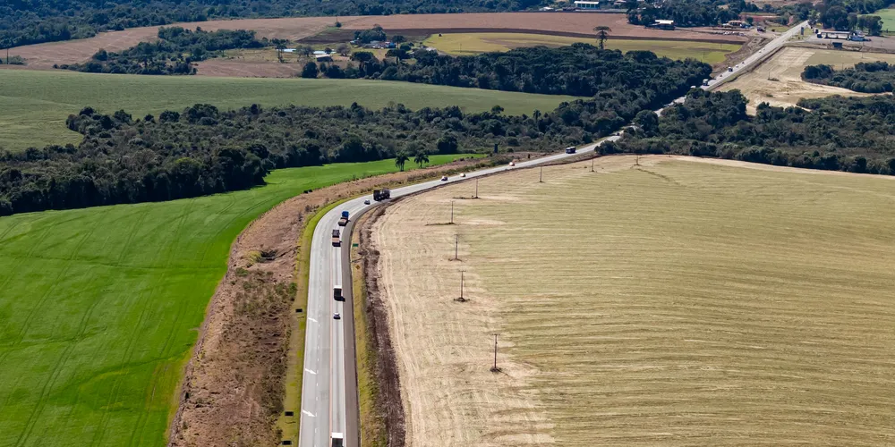 Leilão do Lote 6, o maior em extensão, será nesta quinta-feira (19)