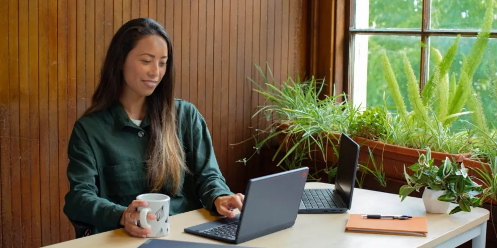Os alunos poderão aprender conteúdos estruturados para diferentes níveis de conhecimento