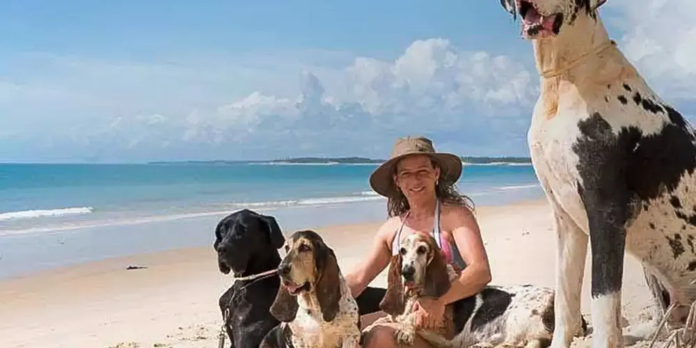 Tutores, veterinários e cuidadores dão dicas do que fazer com o amigo