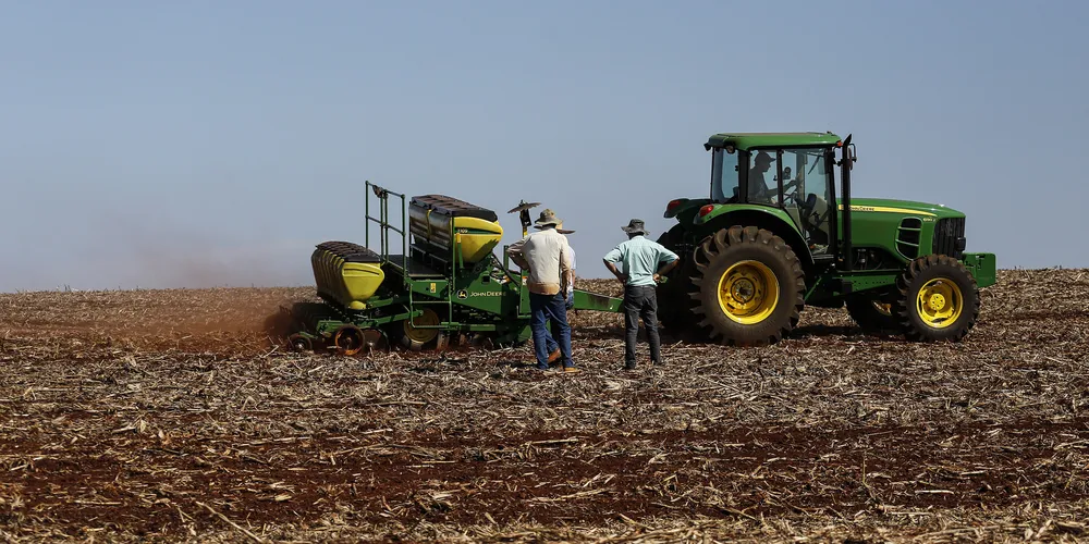 Área destinada para o plantio da primeira safra de verão de soja foi de 545 mil hectares