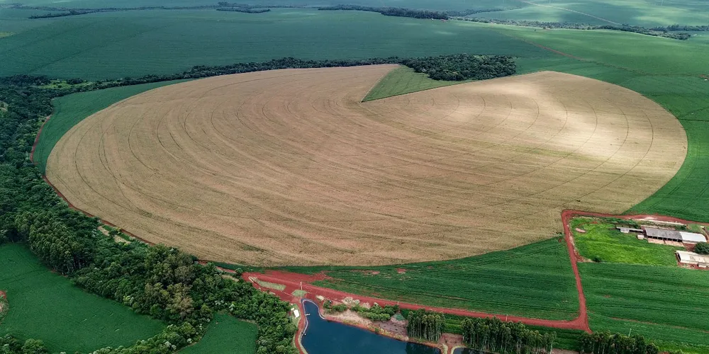 Espera-se uma recuperação nas produtividades obtidas no ciclo anterior, que podem gerar 25,3 milhões de toneladas ou 19% a mais que as 21,3 milhões obtidas em 23/24
