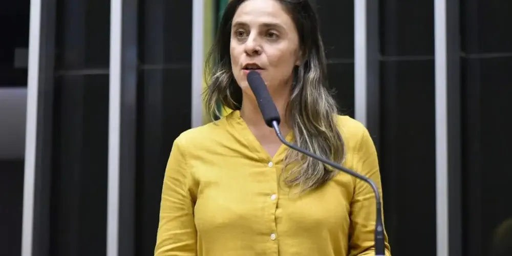 A deputada federal Fernanda Melchionna (PSOL-RS) apresentou um projeto de lei que pede a suspensão da remuneração de militares denunciados por violações de direitos humanos