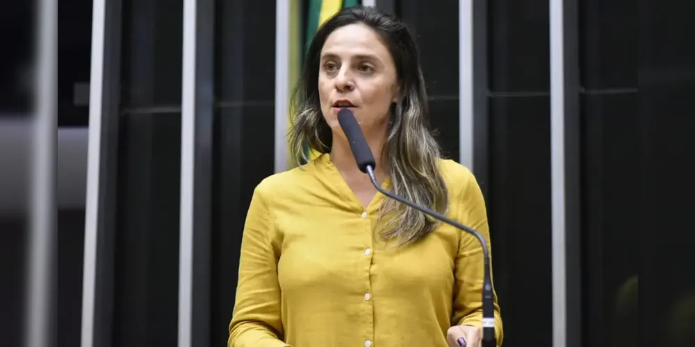 A deputada federal Fernanda Melchionna (PSOL-RS) apresentou um projeto de lei que pede a suspensão da remuneração de militares denunciados por violações de direitos humanos