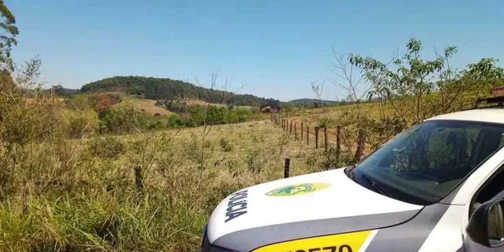 Suspeitos fugiram levando a carne em um carro escuro