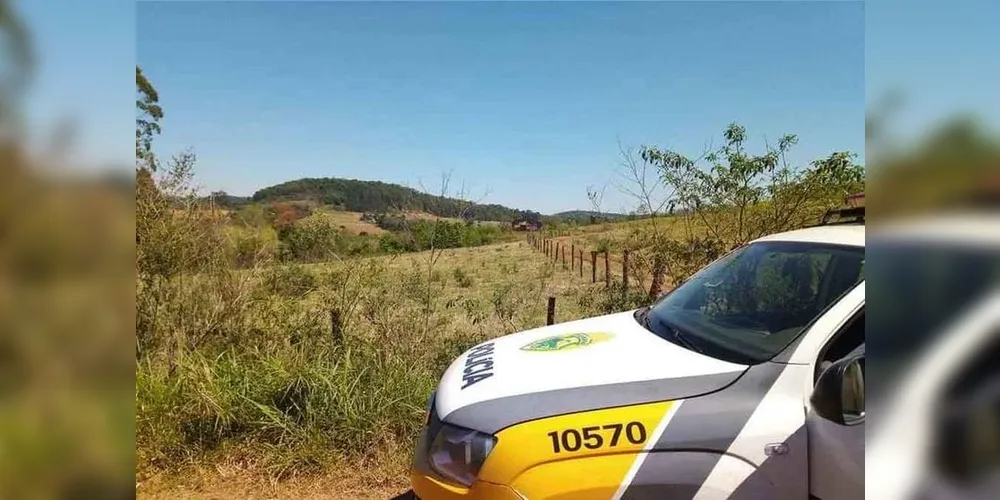 Suspeitos fugiram levando a carne em um carro escuro