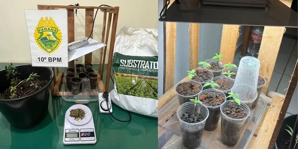 'Laboratório' foi descoberto na noite dessa sexta-feira (03)