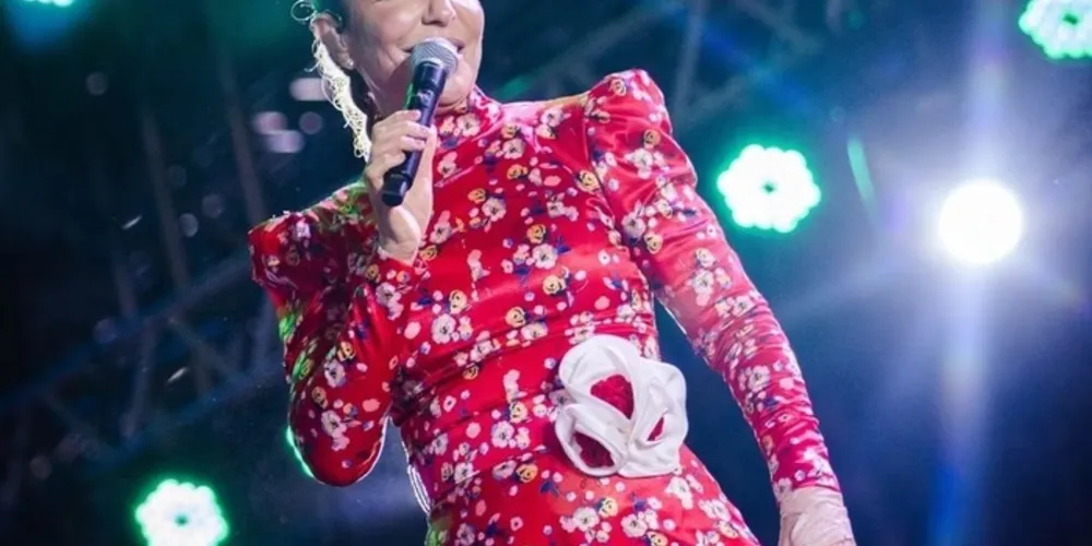 O episódio afetou tanto a artista e sua banda quanto os foliões presentes na avenida