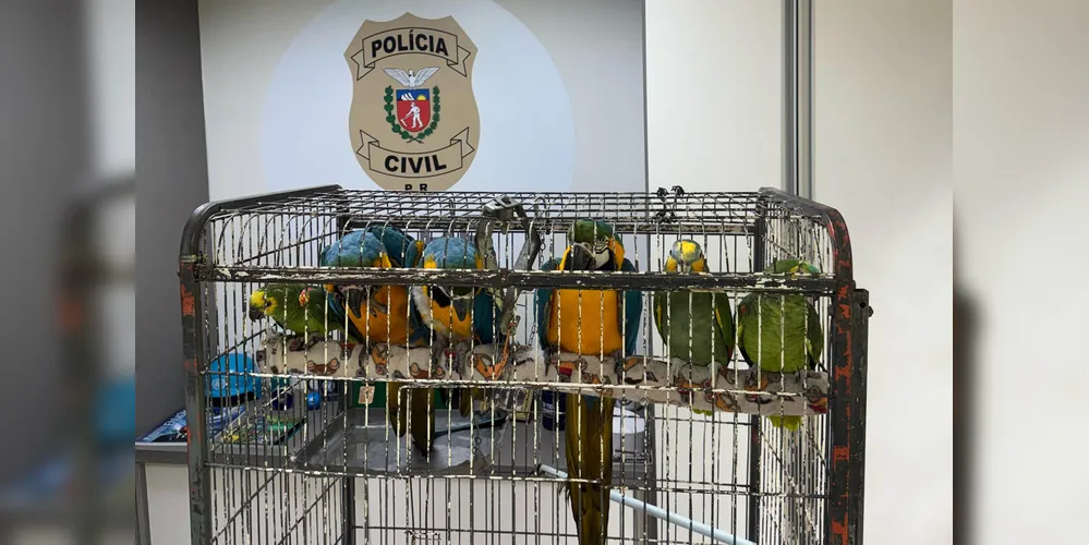 Animais serão encaminhados para santuários