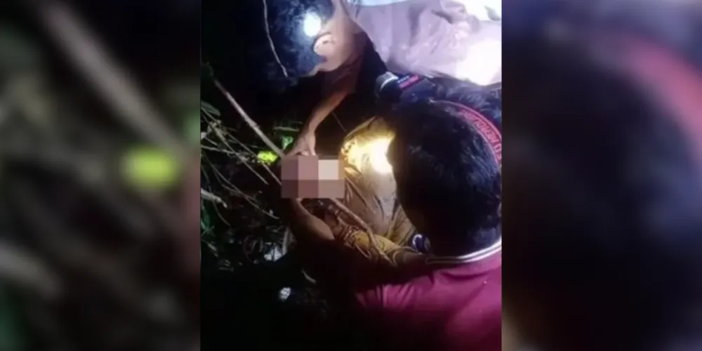 A Piton atacou a mulher de 55 anos