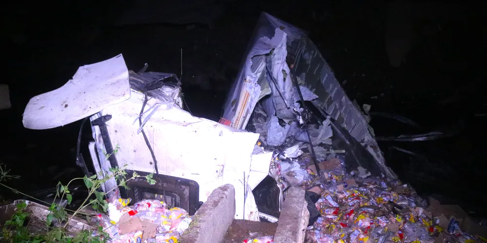 Veículo seguia no sentido Sul da rodovia, quando caiu da ponte