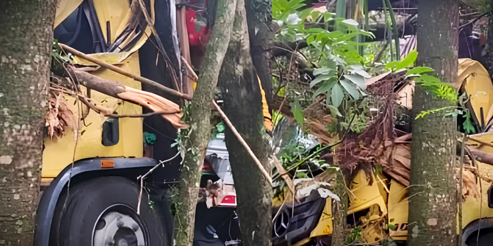 Caminhão modelo Mercedes Benz esteve envolvido no acidente de trânsito