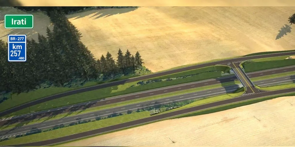 Viaduto será construído no KM 257 da BR-277, em Irati