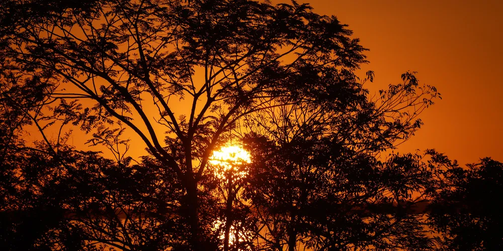 Máxima deve chegar aos 29ºC em Ponta Grossa