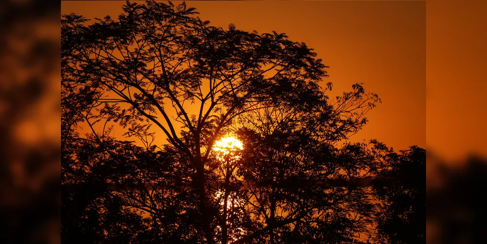 Máxima deve chegar aos 29ºC em Ponta Grossa