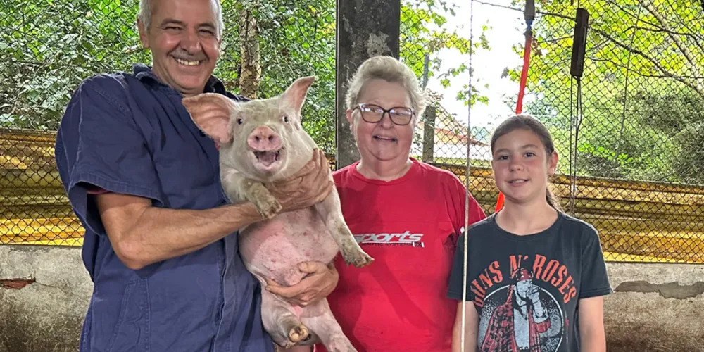 A área de atuação da suinocultura na cooperativa abrange os municípios de Castro, Piraí do Sul, Ipiranga e Prudentópolis