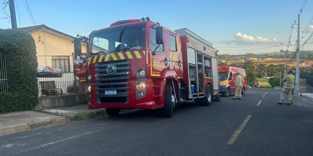 Imagem ilustrativa da imagem Criança cai de árvore, fica presa em forquilha e mobiliza Siate