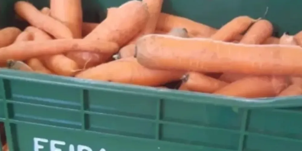 Equipes do Feira Verde estarão trocando recicláveis por frutas, verduras e legumes