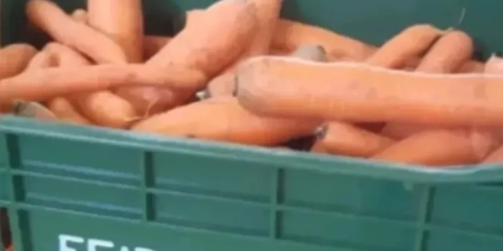 Equipes do Feira Verde estarão trocando recicláveis por frutas, verduras e legumes
