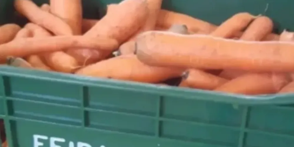 Equipes do Feira Verde estarão trocando recicláveis por frutas, verduras e legumes