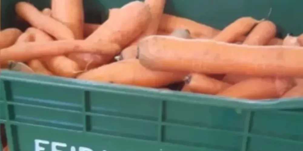 Equipes do Feira Verde estarão trocando recicláveis por frutas, verduras e legumes