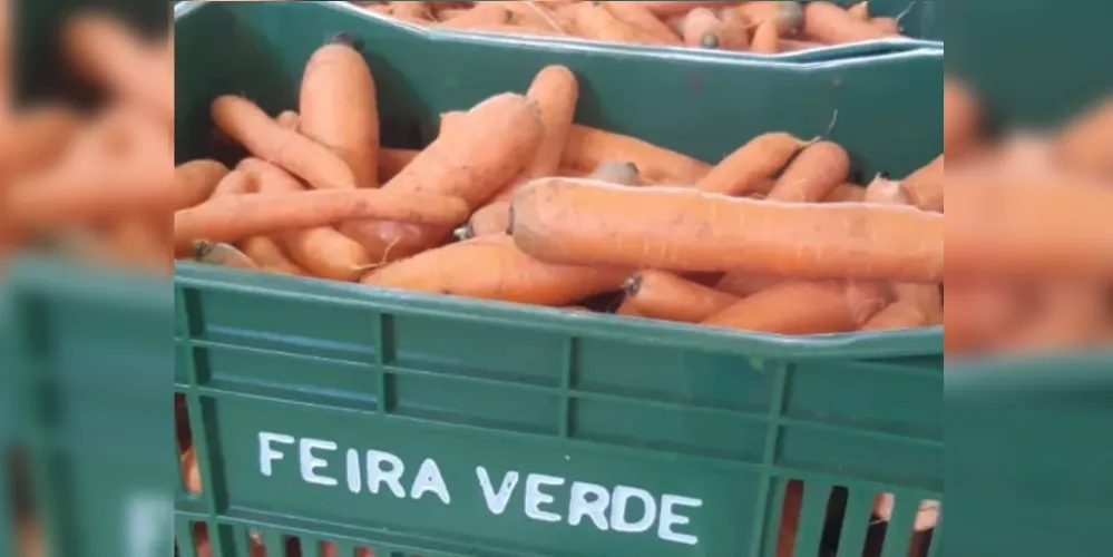 Equipes do Feira Verde estarão trocando recicláveis por frutas, verduras e legumes