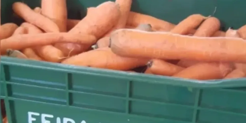 Equipes do Feira Verde estarão trocando recicláveis por frutas, verduras e legumes