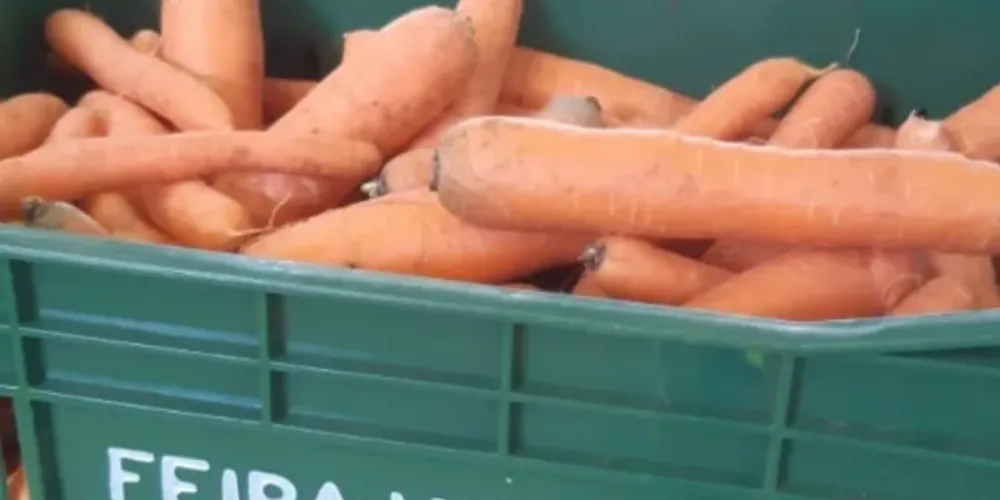 Três equipes estarão hoje nos bairros trocando frutas, verduras e legumes por recicláveis